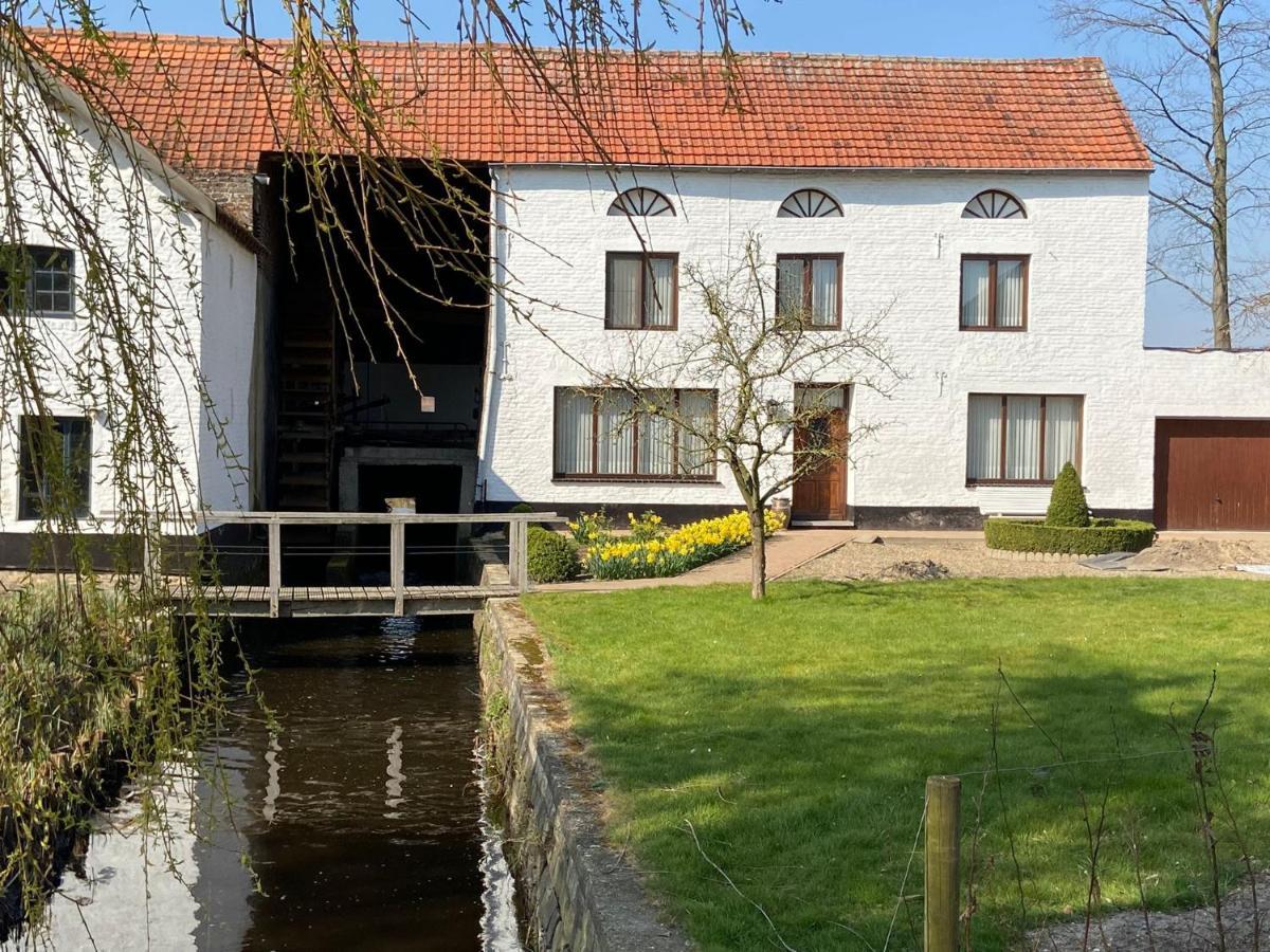 Vakantiewoning Wurfeldermolen Maaseik Extérieur photo