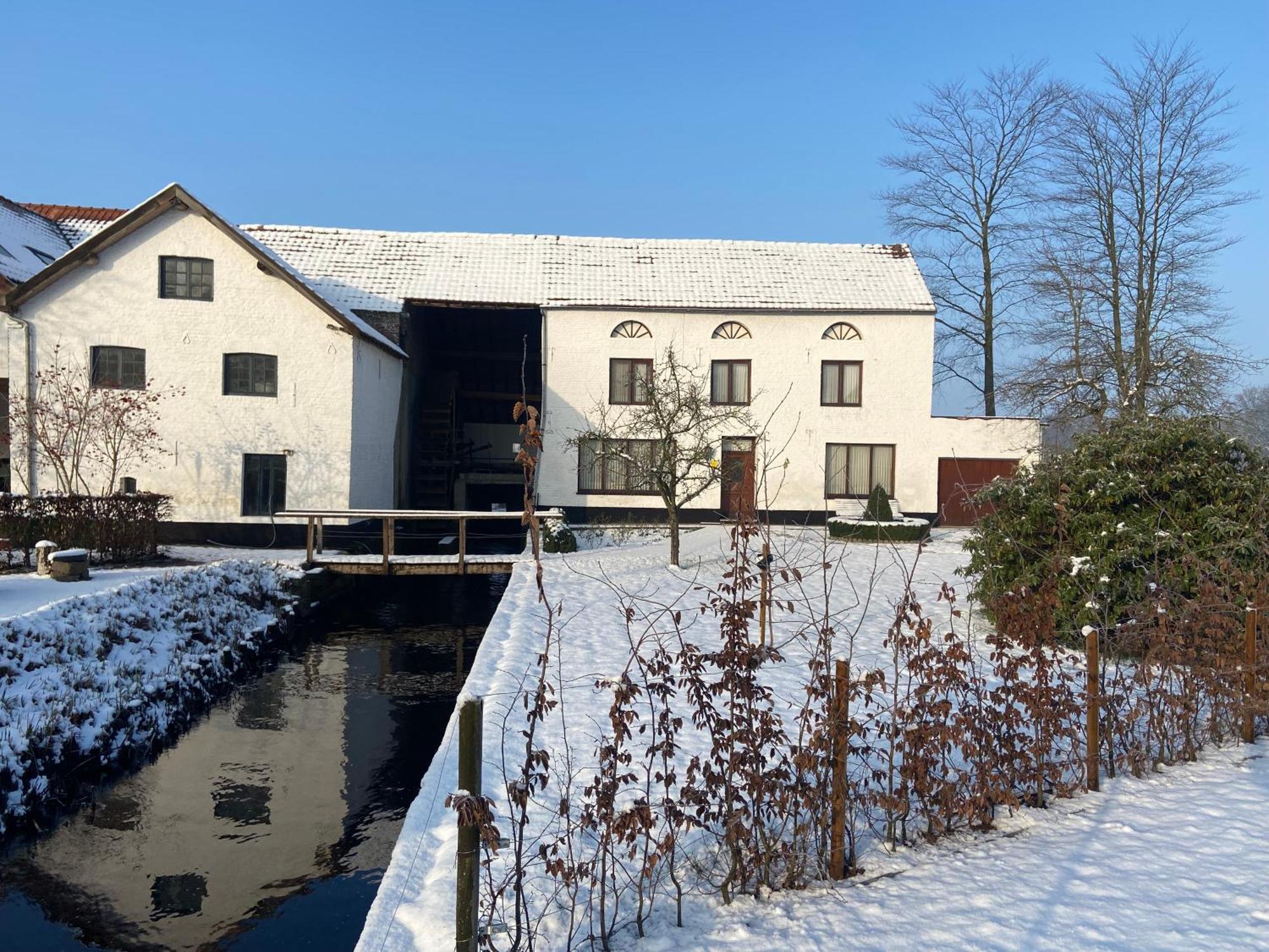 Vakantiewoning Wurfeldermolen Maaseik Extérieur photo